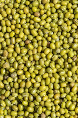 Yeşil fasulye ya da Mung fasulye desenli arka plan duvar kağıdı deseni.