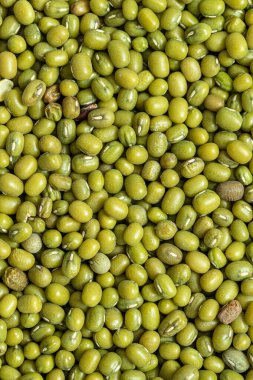 Yeşil fasulye ya da Mung fasulye desenli arka plan duvar kağıdı deseni.