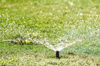 Sulama Sistemi Yeşil çimenleri suluyor, bulanık arkaplan