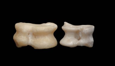 Asyk kemikleri siyah arka planda izole edilir. Oyunun zarı.