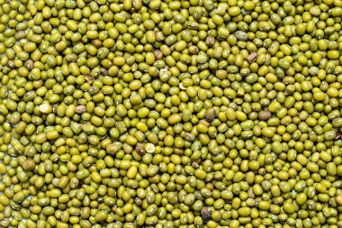 Yeşil fasulye ya da Mung fasulye desenli arka plan duvar kağıdı deseni.