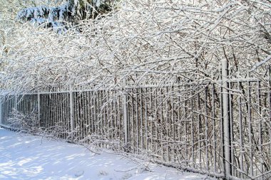 Kış parkındaki karda metal dövmeli çitler, kış manzarası..