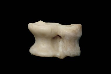 Asyk kemikleri siyah arka planda izole edilir. Oyunun zarı.