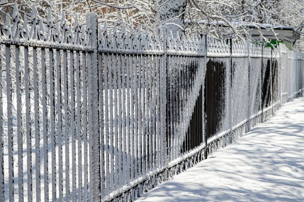 Металлическая Кованая Ограда Снегу Зимнем Парке Зимний Пейзаж — стоковое фото