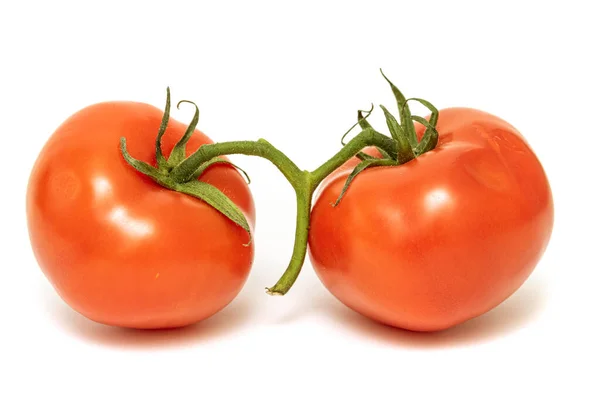 Two Red Tomatoes Green Branch White Background Isolated — Stock Photo, Image