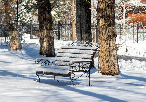 Bench in the snow in winter in the park, winter landscape.