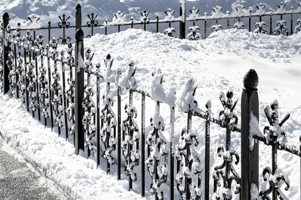 Metallsmidda Staket Snön Vinterparken Vinterlandskap — Stockfoto