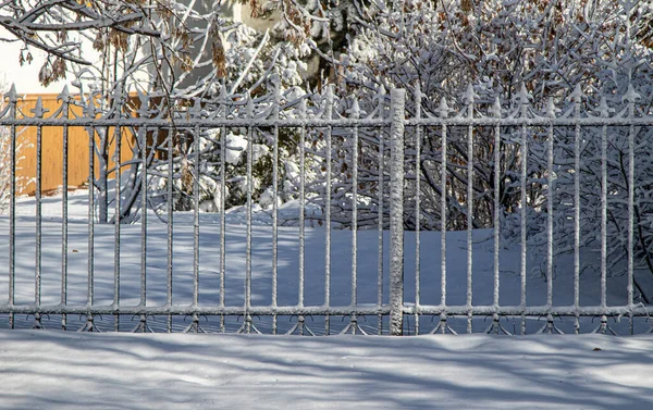 Cerca Forjada Metal Neve Parque Inverno Paisagem Inverno — Fotografia de Stock