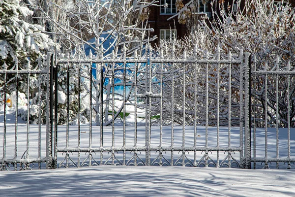Recinzione Metallo Forgiato Nella Neve Nel Parco Invernale Paesaggio Invernale — Foto Stock