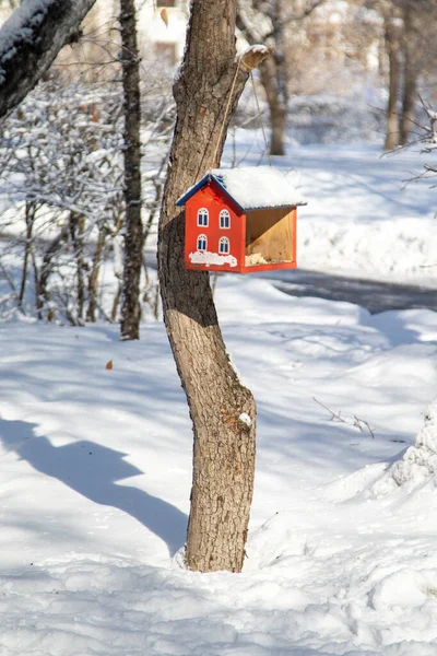 Drewniane Karmniki Ptaków Zimowym Parku Zimowy Krajobraz — Zdjęcie stockowe