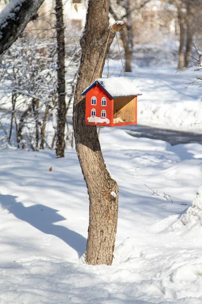 Alimentatori Uccelli Legno Nel Parco Invernale Paesaggio Invernale — Foto Stock