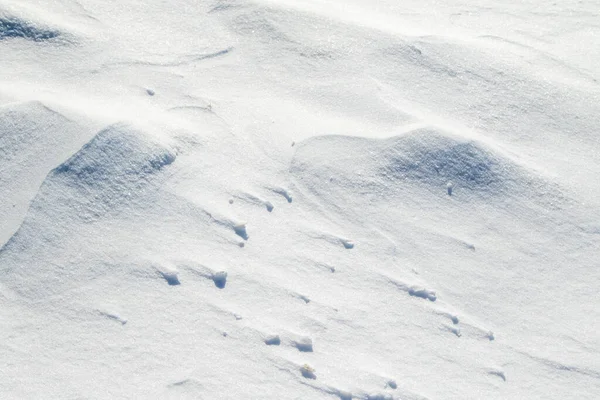 Schneehintergrund Leichter Schatten Steppenschnee Große Weiße Schneebedeckte Winter Hintergrund — Stockfoto