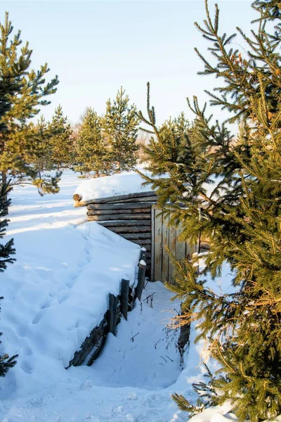 Cabaña Madera Dugout Bosque Invierno —  Fotos de Stock