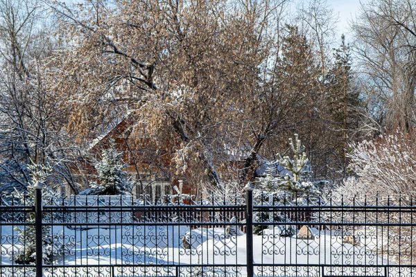 Cerca Forjada Metal Neve Parque Inverno Paisagem Inverno — Fotografia de Stock