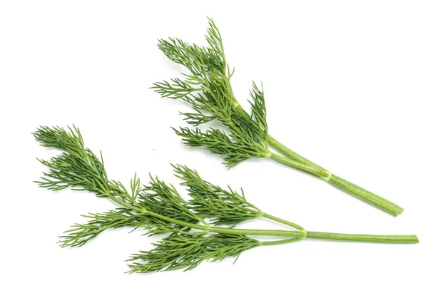 Sprigs Green Parsley Dill Isolated White Background — Stock Photo, Image