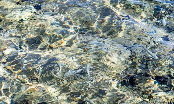 Прозора Морська Вода Розфокусованими Брижами Фонова Текстура Води — стокове фото