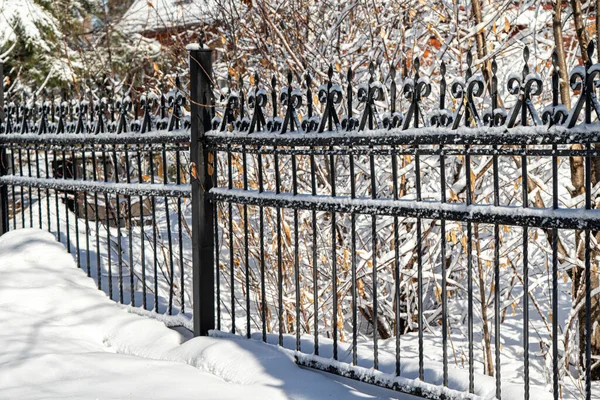 Metallgeschmiedeter Zaun Schnee Winter Park Winterlandschaft — Stockfoto