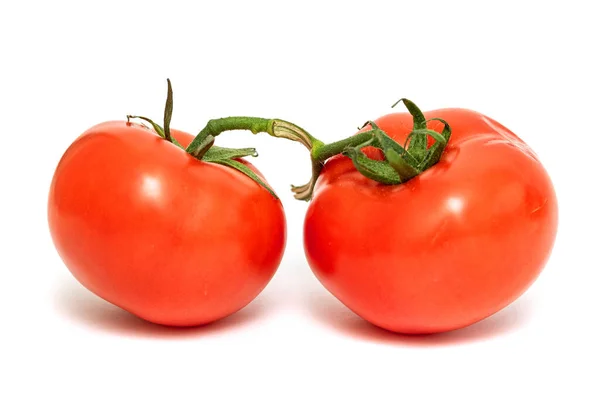 Dos Tomates Rojos Sobre Una Rama Verde Sobre Fondo Blanco — Foto de Stock