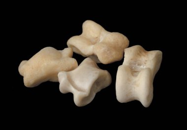 Asyk kemikleri siyah arka planda izole edilir. Oyunun zarı.