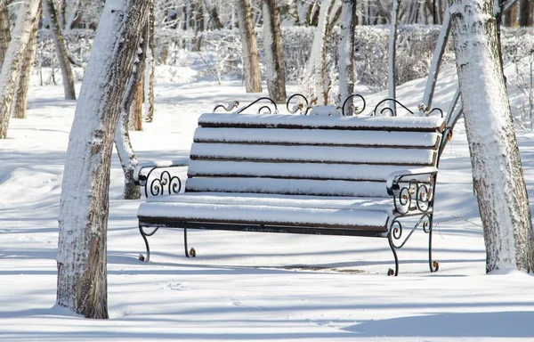 Kışın Karda Bankta Parkta Kış Manzarasında — Stok fotoğraf