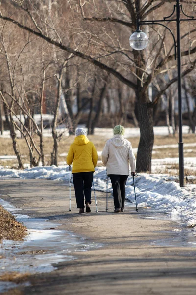 Duas Mulheres Parque Inverno Caminham Calçada — Fotografia de Stock