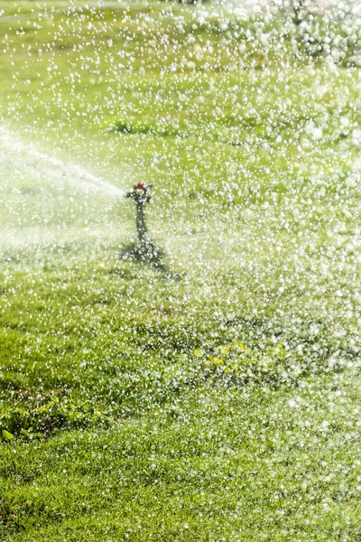 Bevattningssystem Bevattning Grönt Gräs Suddig Bakgrund — Stockfoto