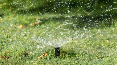 Sulama Sistemi Yeşil çimenleri suluyor, bulanık arkaplan
