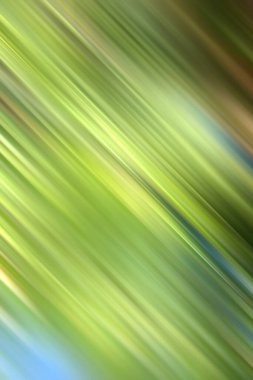 Bulanık yeşil arka plan hareket halinde. Kamera hareketi.