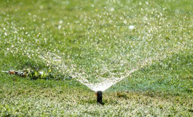 Sulama Sistemi Yeşil çimenleri suluyor, bulanık arkaplan