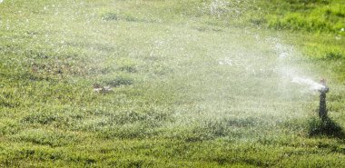 Sulama Sistemi Yeşil çimenleri suluyor, bulanık arkaplan