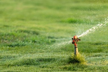 Sulama Sistemi Yeşil çimenleri suluyor, bulanık arkaplan