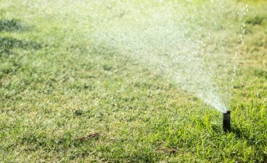 Sulama Sistemi Yeşil çimenleri suluyor, bulanık arkaplan