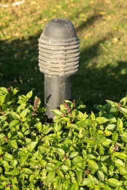 Parktaki fener öğleden sonra bahçede..