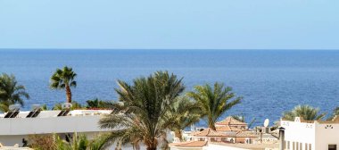Mısır, Sharm El Sheikh, sahil kıyısı, palmiye ağaçları, evler, gökyüzüne karşı binalar.