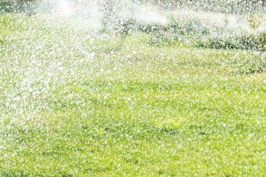 Sulama Sistemi Yeşil çimenleri suluyor, bulanık arkaplan