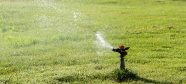Sulama Sistemi Yeşil çimenleri suluyor, bulanık arkaplan
