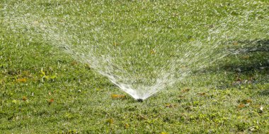 Sulama Sistemi Yeşil çimenleri suluyor, bulanık arkaplan