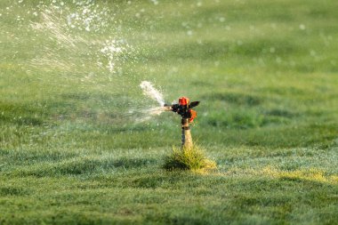 Sulama Sistemi Yeşil çimenleri suluyor, bulanık arkaplan