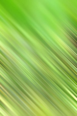 Bulanık yeşil arka plan hareket halinde. Kamera hareketi.