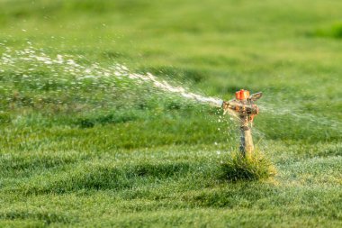 Sulama Sistemi Yeşil çimenleri suluyor, bulanık arkaplan