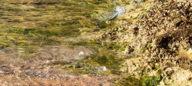 Kıyı kayalıklarında deniz suyu damlaları.