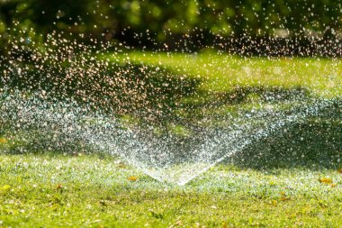 Sulama Sistemi Yeşil çimenleri suluyor, bulanık arkaplan
