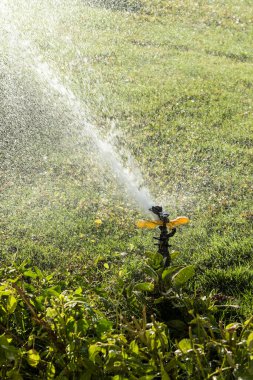 Sulama Sistemi Yeşil çimenleri suluyor, bulanık arkaplan