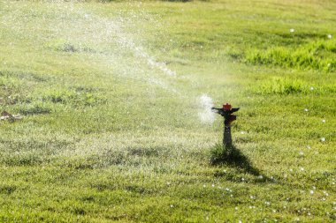 Sulama Sistemi Yeşil çimenleri suluyor, bulanık arkaplan