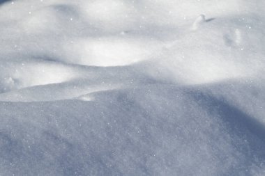 Kar yağışı, kar örtüsü, kar örtüsü.