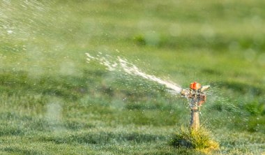 Sulama Sistemi Yeşil çimenleri suluyor, bulanık arkaplan