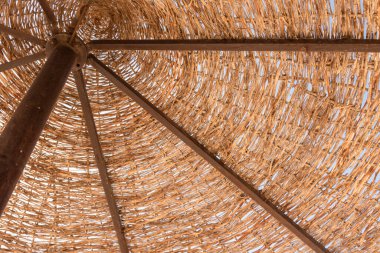 Mavi gökyüzüne karşı sahilde şemsiye. Mavi gökyüzünün arka planında kurumuş filizler ya da mavi gökyüzüne karşı kumsalda bir şemsiye..