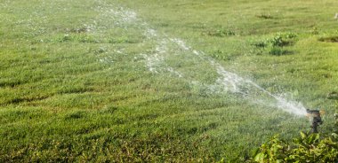Sulama Sistemi Yeşil çimenleri suluyor, bulanık arkaplan