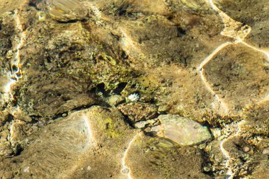 Net deniz suyu, çözülmüş dalgalanmalar, arka plan su dokusu.