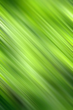 Bulanık yeşil arka plan hareket halinde. Kamera hareketi.